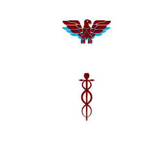 steiner01516's emblem