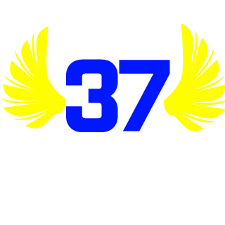 37kamikaze's emblem