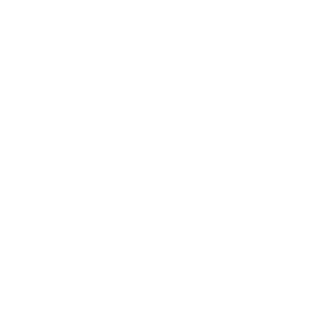 PatNIX's emblem