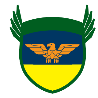 IDMA999's emblem