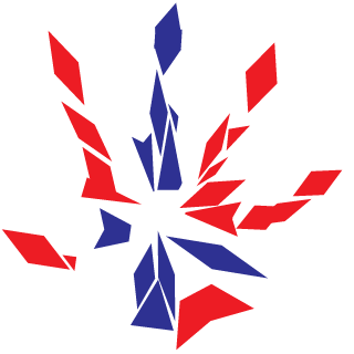 SuperN1's emblem