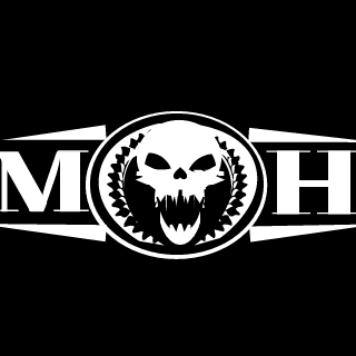 Blackshadowerr's emblem