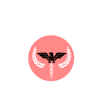 AntonJsson's emblem