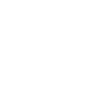 team-petoux's emblem