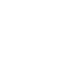 BOOM_poi_poi's emblem