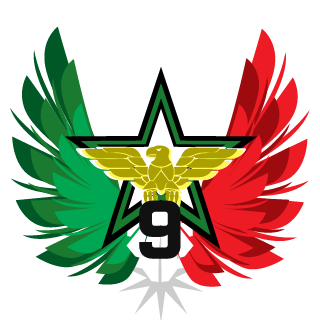 9th's emblem