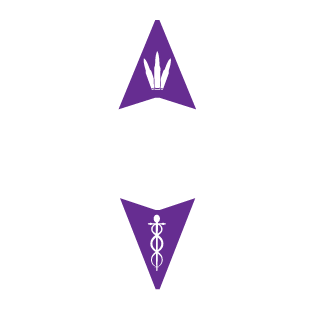 Plasmozyt's emblem