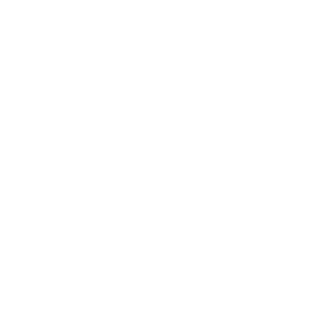 ZOmBI_1_9_9_0_26's emblem