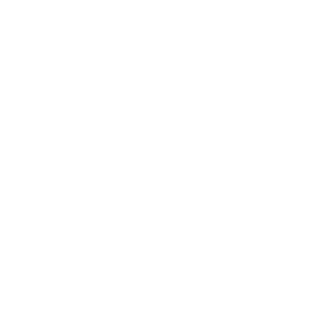 BrokerN7's emblem