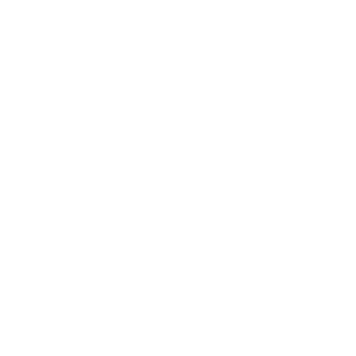 Anemotidos's emblem