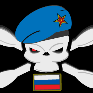 vZd0r's emblem
