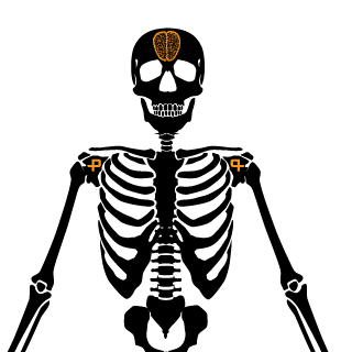 Estades's emblem