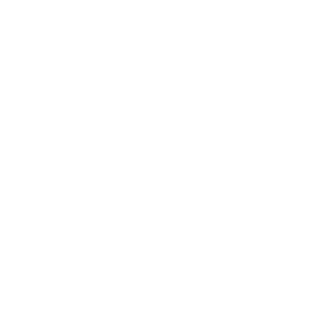 Puszedli9111's emblem