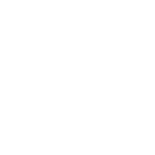 BRiiCKLAYER's emblem
