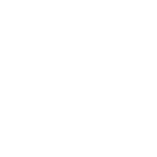 overaid's emblem