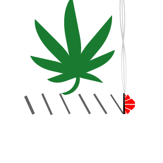 JoniPlanokur's emblem
