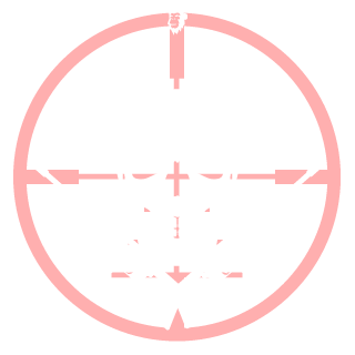 Trans Tasman Recon's emblem