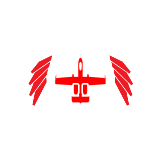 DrDecoy318's emblem
