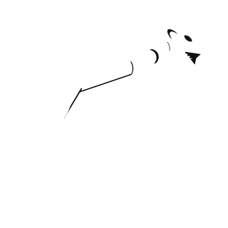 Mattemies's emblem