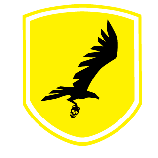 Paradox9295's emblem