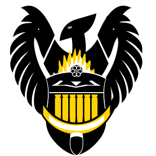Vigo08's emblem