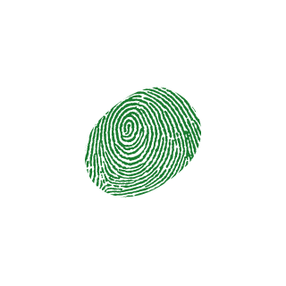 OmgWtfSkillPro's emblem