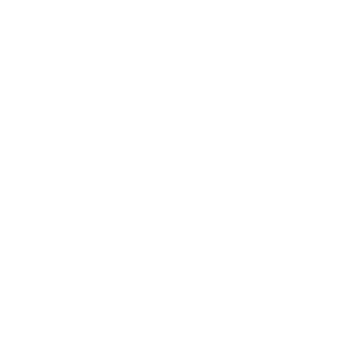 PIA_VEIO's emblem