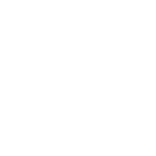 Quinntum's emblem