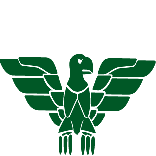 TH-ILocuraI22I's emblem
