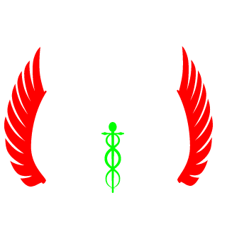 RPGMAGGI's emblem
