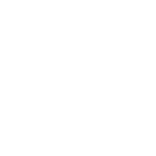HiddenYoda's emblem