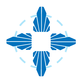 netsbaer's emblem