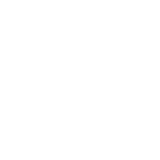 -FFC-Camaleon's emblem