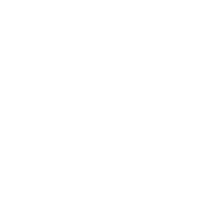 Major_Nunes_'s emblem