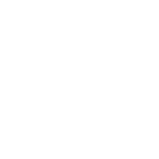 DasB00St40's emblem