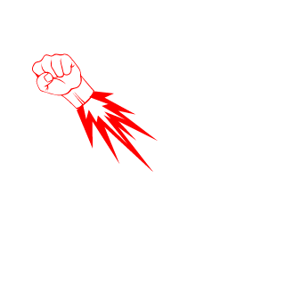 1983DRC's emblem
