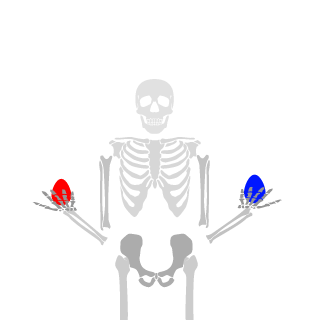artemko22838's emblem