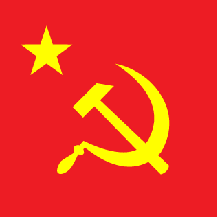 theCyberHawk's emblem