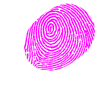 Luoxiaobo's emblem