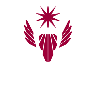 bushido16rus's emblem