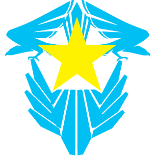 DingleNutss's emblem