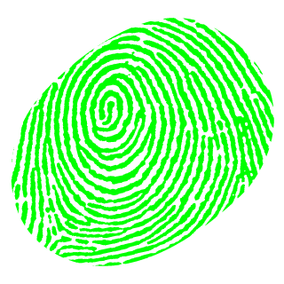IPv04's emblem