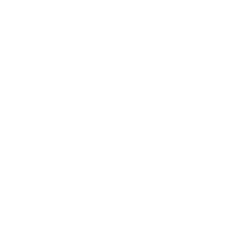 Nollie_Bullets's emblem