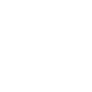 Nico15911's emblem