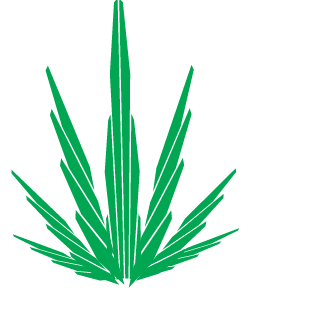 hugon77's emblem