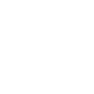 Nico9551_DK's emblem