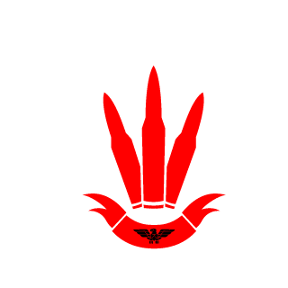 DiogoK4ji's emblem