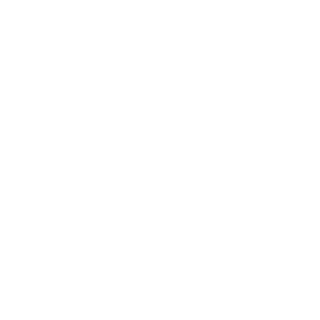 RebelTheGamer's emblem
