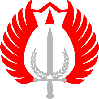 SaucyNetwork's emblem
