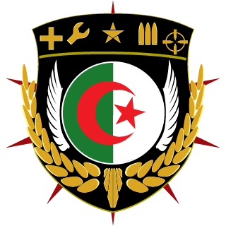 DZ Warriors's emblem